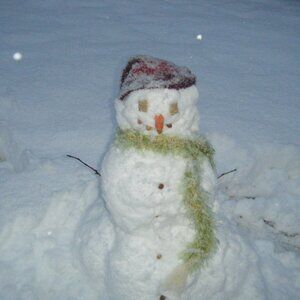 Meet your Posher, Warren